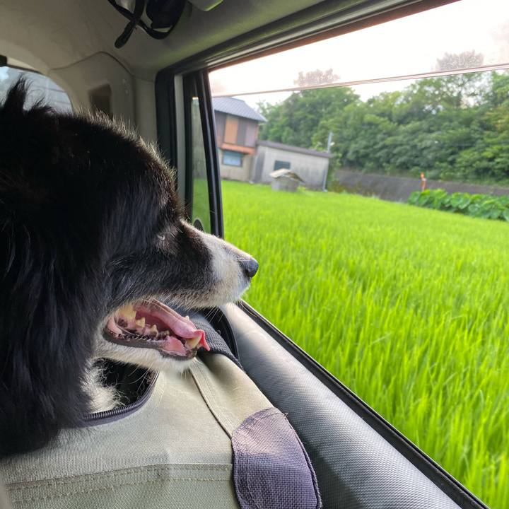 405b1923 f0a0 4105 82db 315fbce668b1 1660860265094