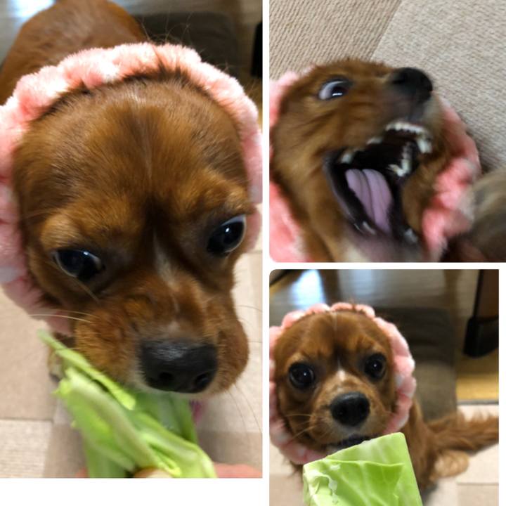 405b2ee6 16f6 4eb9 9185 ff63245c1fce 1530706251573