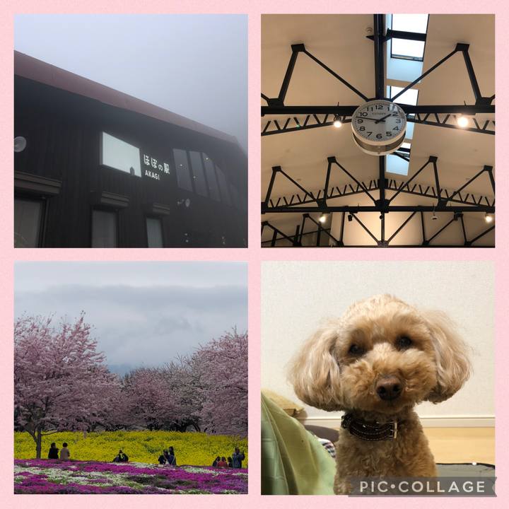 405b3f57 628f 4e97 bec3 6d30353fca57 1775437486033