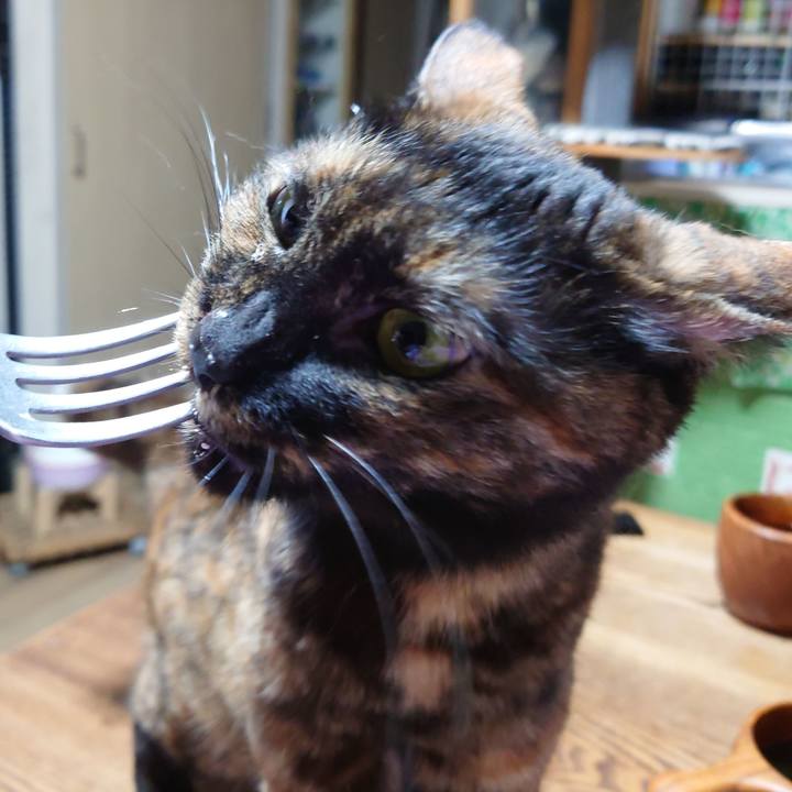 405b4f93 f0fa 4147 9a5a 7919083fa704 1683021365269