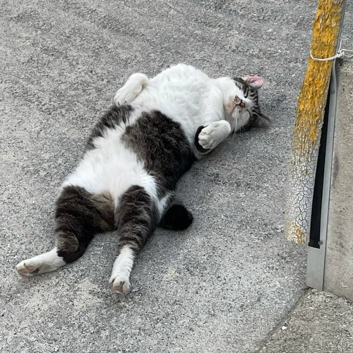 405b680d 1653 46f3 a84d de51a4111aeb 1627701091133