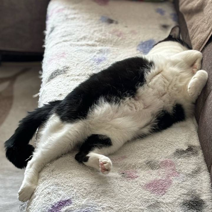 405b7fbb 84bd 4259 aff8 72b41c2fa76d 1760322614821