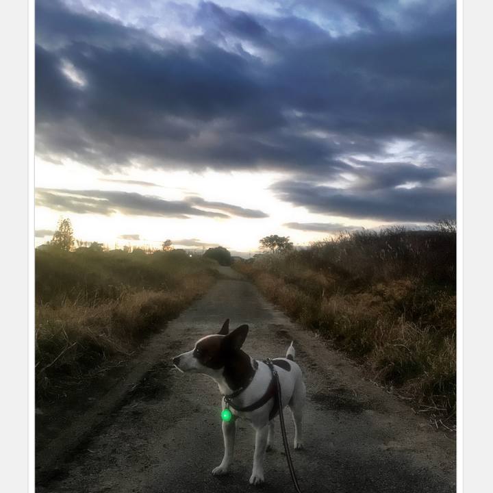 405bdcff 9e9f 47af be6a 6ff89e59e006 1512590073825