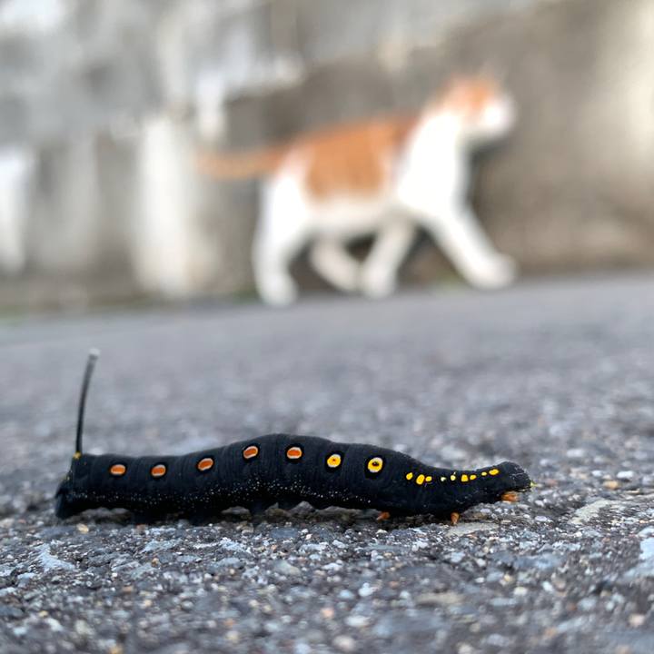 405c5aac f6e1 465b 8b7b 240e7a941880 1568879875130