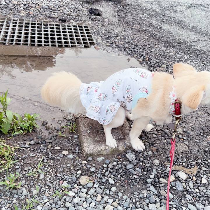 405c6d5e 01ea 4293 b51f a68e36cfa828 1686917340934