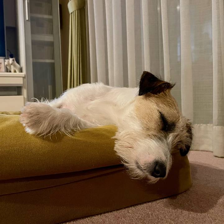 405c7b85 8023 46cf bf98 3b31eb780ae6 1657895597084