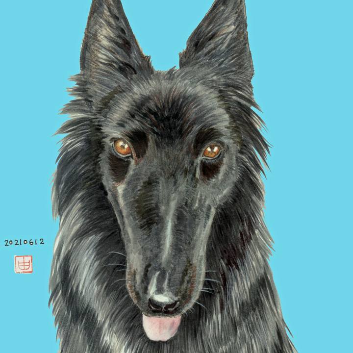 405caa40 14e2 4a1b aa22 6988a4e286dd 1623509681364