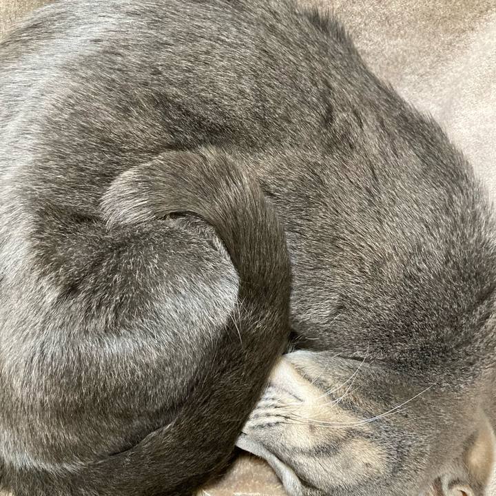 405cad46 f939 4f80 92c2 e102fa7392e3 1646519968433