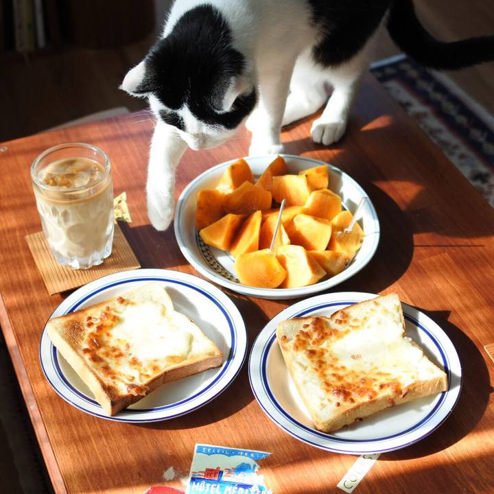 405cb4cc c21e 4ab8 81bd 925f58ef18d7 1541833130537