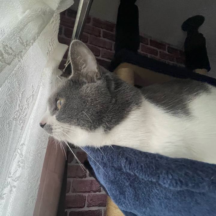 405cbc06 6be5 48a8 a128 224acee98812 1674515254199