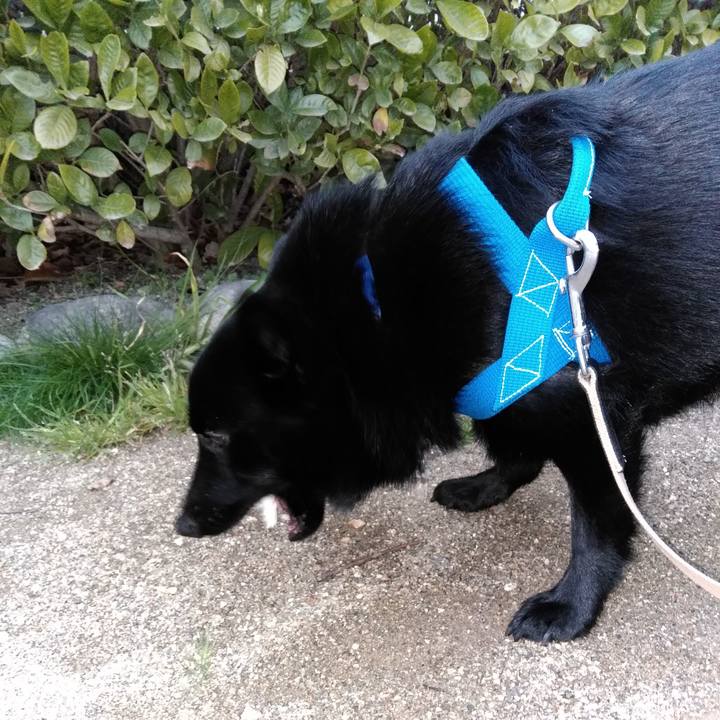 405cc009 f502 40c0 8eea 3be22c41e011 1553155554095