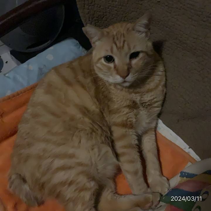 405cd00b 650c 4373 9b11 9d1cadf754d0 1710108455111