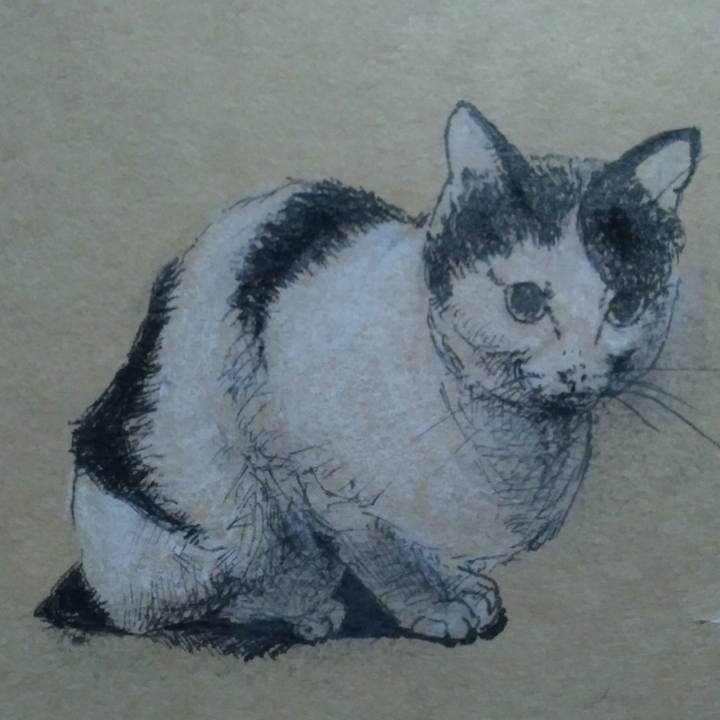 405cda47 fc35 4772 ab8e 3e7a8b082f53 1520256540001