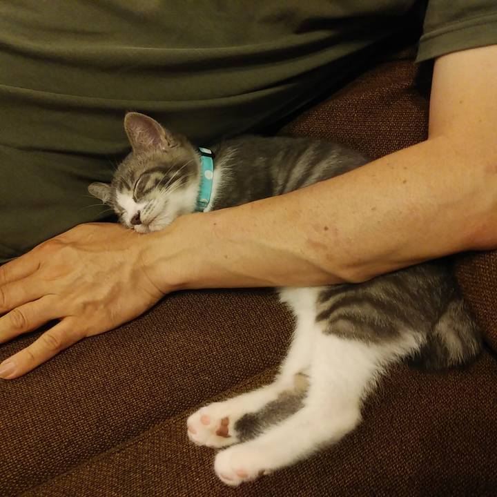 405cf245 fb62 46fe b9d1 446d106a1a3b 1562854471137