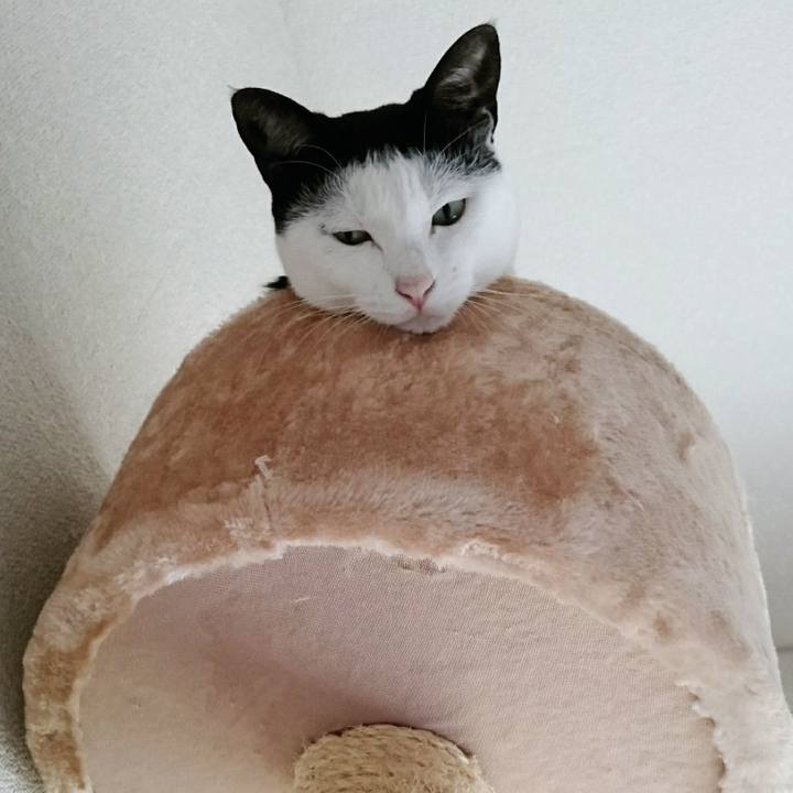 405cf2dd e1c4 42a9 a5b7 d0d39e856902 1508678808806