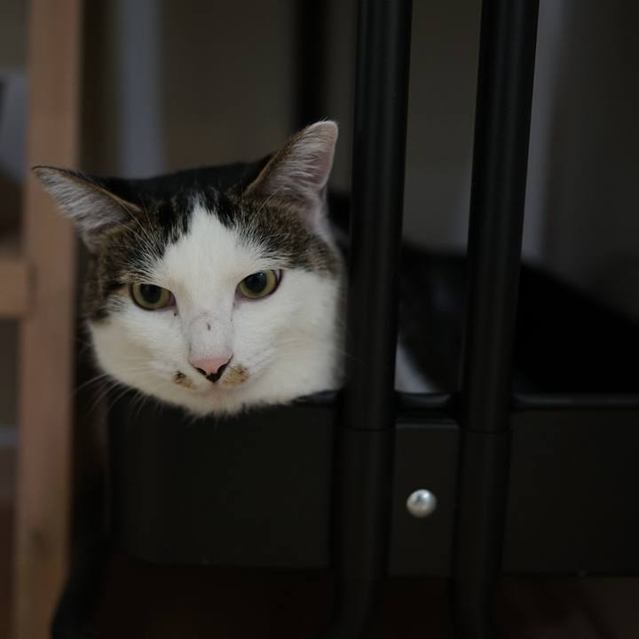 405d38a7 bcaa 40a2 8ee5 001d562358a2 1565706414063