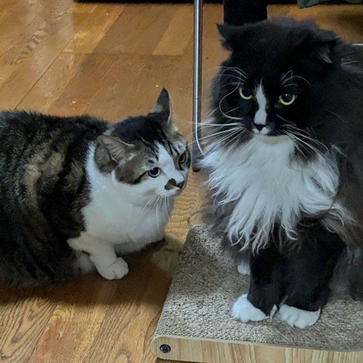 405d3ad9 4226 4d40 be7f fc6a6c647428 1734090440721