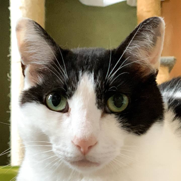 405d404d b4f7 47e4 b7c6 812413039146 1592273005443