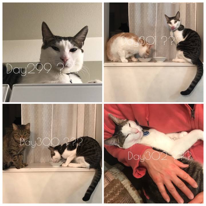 405d65ed baf2 4eee 96bd 42bc5e9bb08a 1523793947476