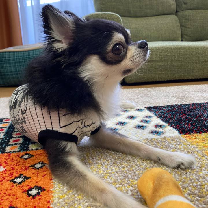 405d81e7 7eb0 4b89 b27e 815cce4b3a7e 1685203066151