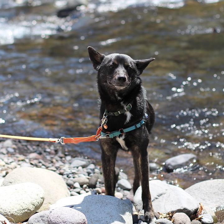 405dc1a3 2c81 4094 9511 23e058aace74 1528980043323