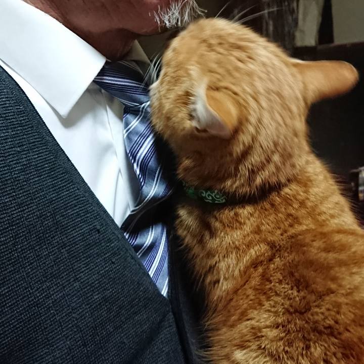 405dd12d 6bcf 4071 a0aa 5aca8b4e482c 1581069841064