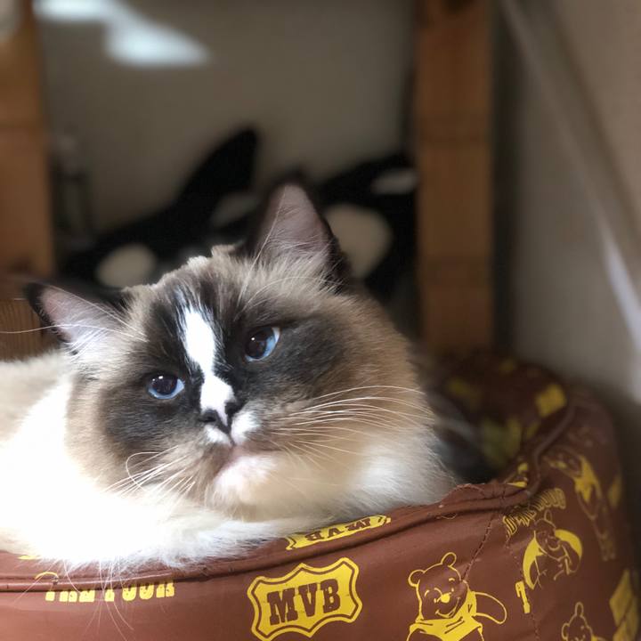 405ddb8e 9bb3 4e21 b2bb debdcee4eec9 1543757731927