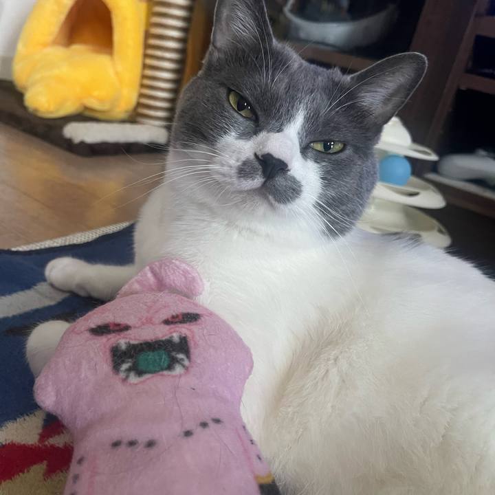 405de1de ffc9 453f bf9c 989a8e6472bd 1690530988160