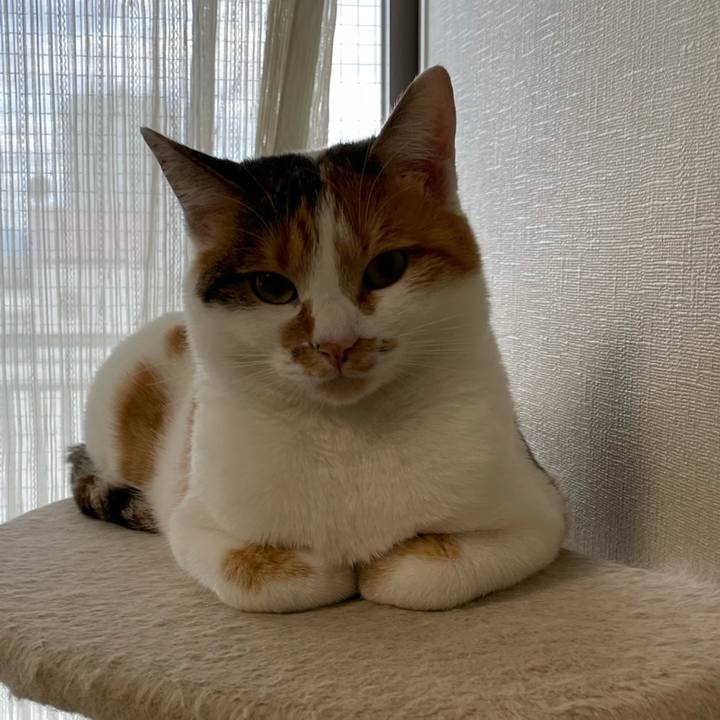 405e29ad df47 410c 8b58 73b478834553 1606175299528