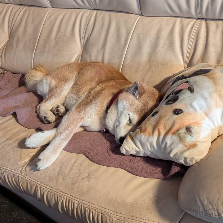 405e2e37 7b4c 41f8 be6f 2d7e91ea230e 1780013323159
