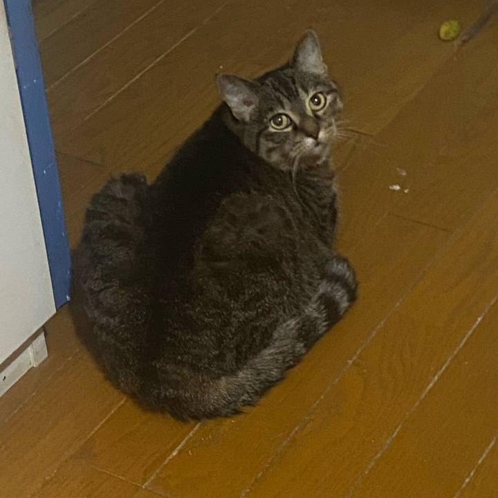 405e3c70 d1e5 4899 b5ab 2798e9f70734 1718895417921