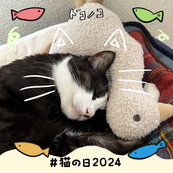 405e401c 46f9 4ad5 812a 07674083bd66 1708589343482