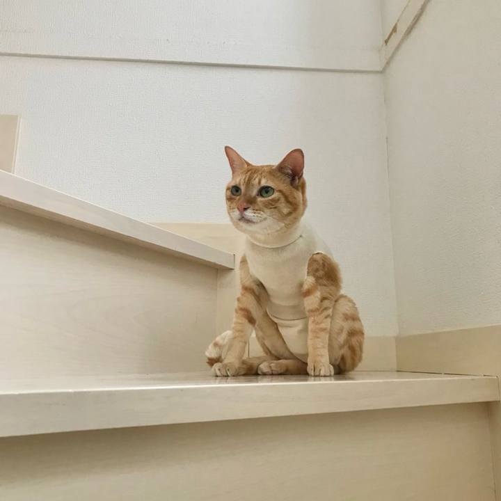 405e6464 f057 4bff a970 bddf3b701ac2 1759270973412