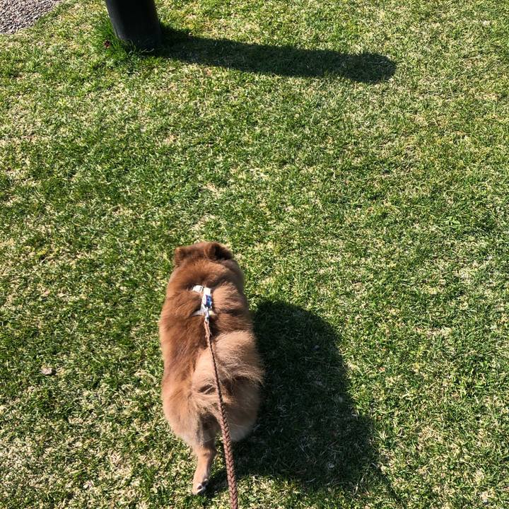 405e7f9c d65b 42ff 85ef 6d6e7c7f2f07 1618202562751