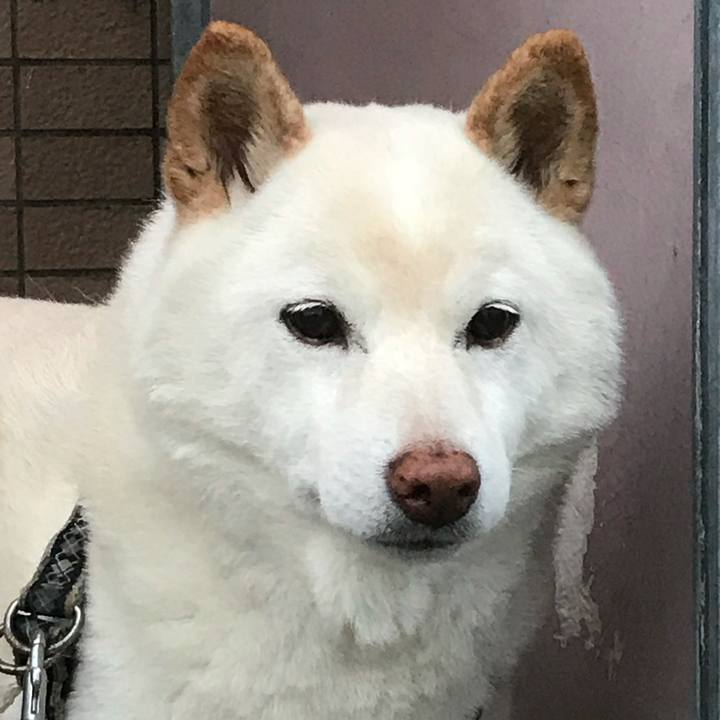 405f3df3 66d6 445c 87ec 56774548d69b 1634223319949