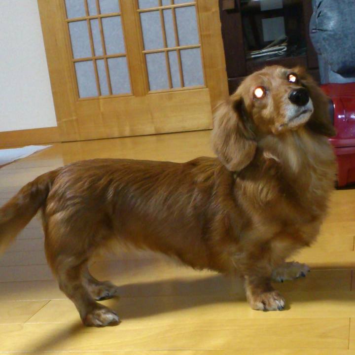 405f6033 9d3f 423d a117 75128424040d 1569175447790