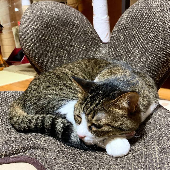 405fac85 ebdb 48dc 849b 39722c765db7 1594207144679