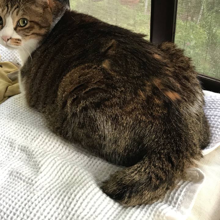 405fb358 9ab1 4e4b bf48 efda00e88930 1588425540975