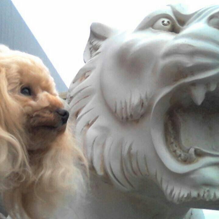 405fbaa4 0b43 46ff bdf3 f2f613d05ae9 1528287379376