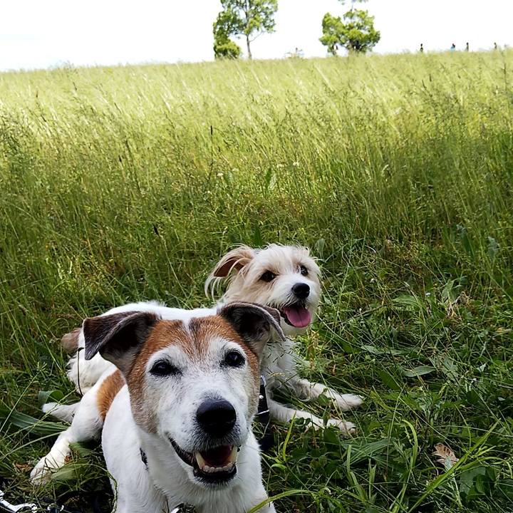 4060313a d483 4beb a25e 7e3ea5dcf21c 1558250687474