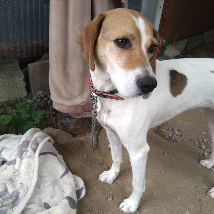 406033e6 2a9f 45e0 a18d 72c16425302c 1624359045857