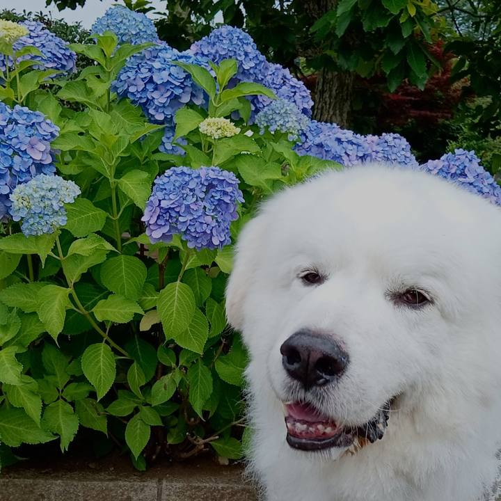 406039da eea3 4222 9440 a08b6f020a7f 1718313989998