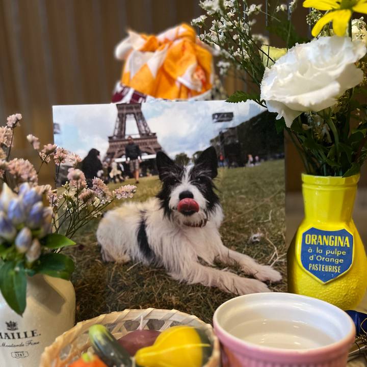 40604c5d 580e 4ea4 aece e8be68587a88 1691888514692