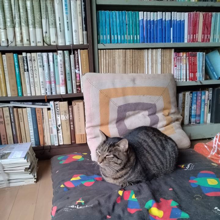 4060a10a 0780 4c3d aa69 763971ae5a04 1663706294645