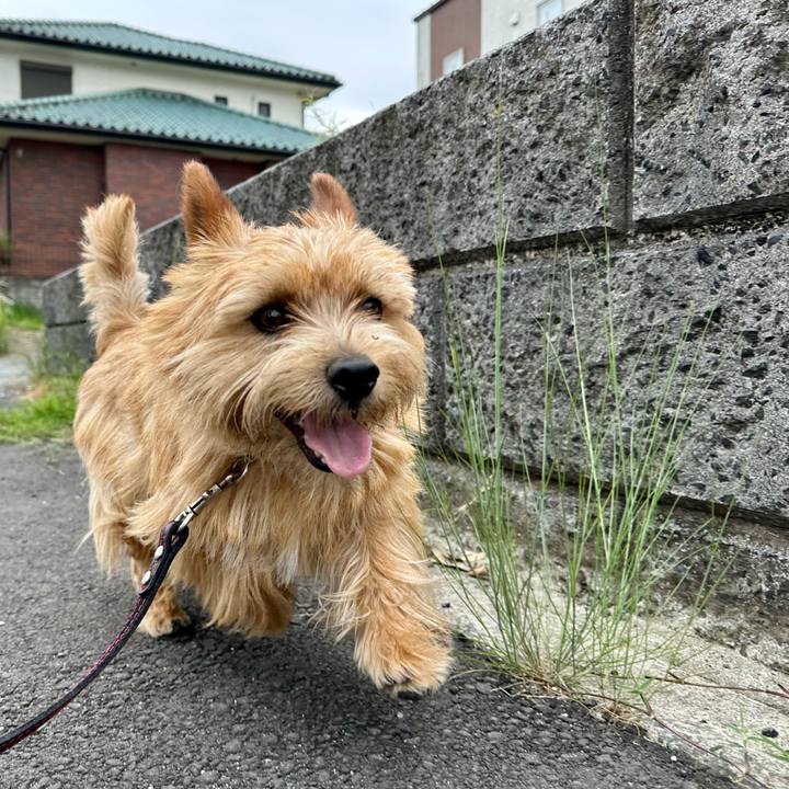 4060b1b6 3fa8 4dc3 9d61 63d94a23a75d 1747978103391