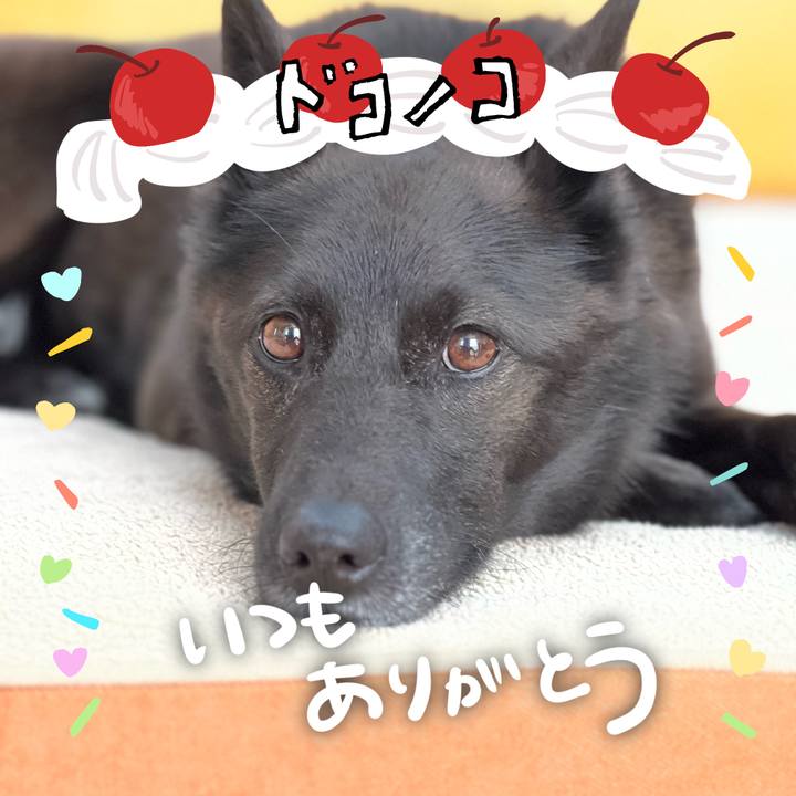 4060b9d9 f5de 46be a698 53ed5b1be0f2 1685958884506