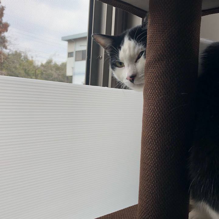 4060cb01 09f4 4e6e 90de 0ff7aa80409d 1549538677542