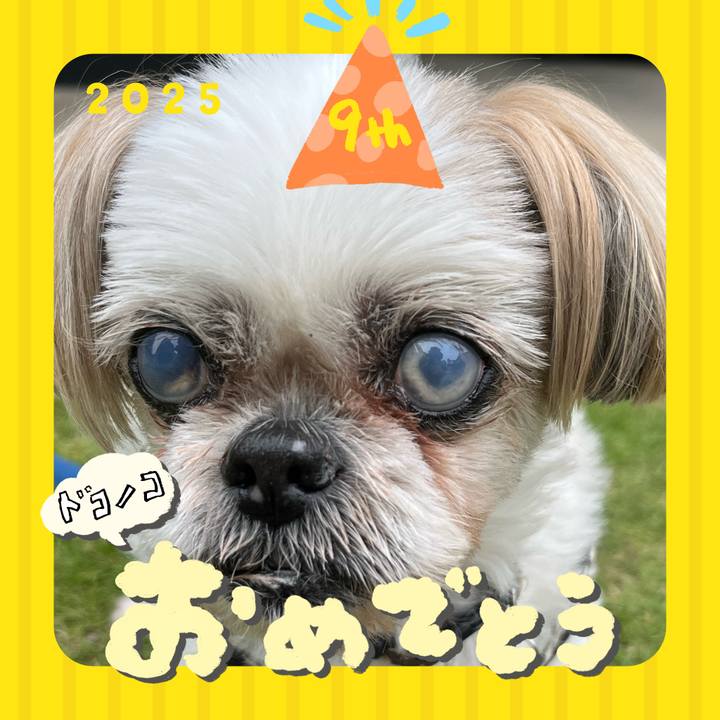 4060d4f8 2556 4830 93bc 86e7613ee512 1749171905774