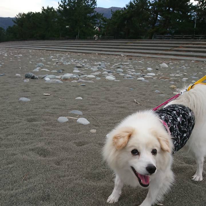 4060e24a 4ebd 476e a9e2 38d56763368c 1540590257721