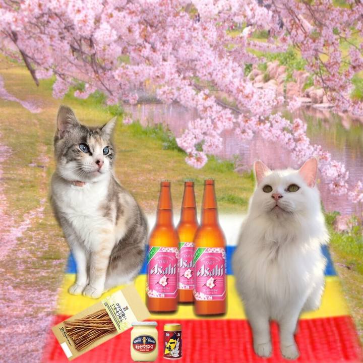 4060e24b f4f7 47d5 915e 8e5d94246bb3 1554550534102